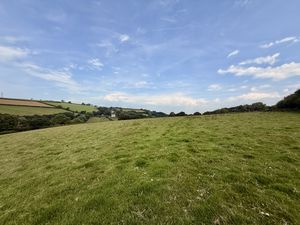  Trewidland